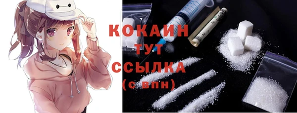твердый Костерёво