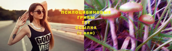 твердый Костерёво